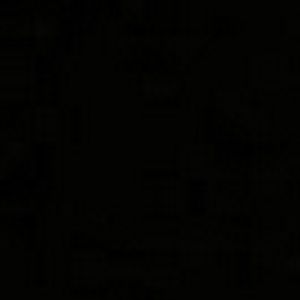 Meet your Posher, Tabitha